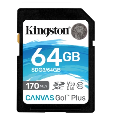 Kingston Canvas Go! Plus SD (Mapped) V30 SD card - 45USD